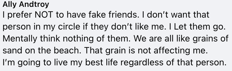 Facebook comment